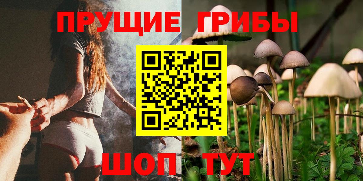 Псилоцибиновые грибы мухоморы Коряжма