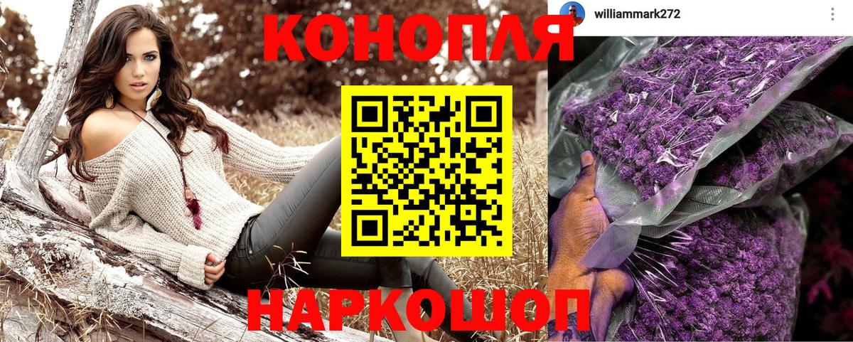 Конопля гибрид Коряжма